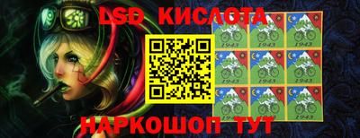 дмт Кингисепп