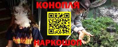 дмт Кингисепп