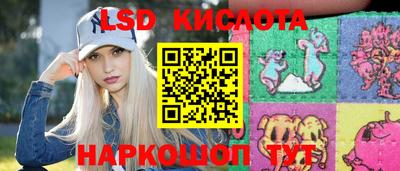 дмт Кингисепп