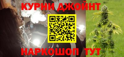 дмт Кингисепп