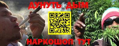 дмт Кингисепп