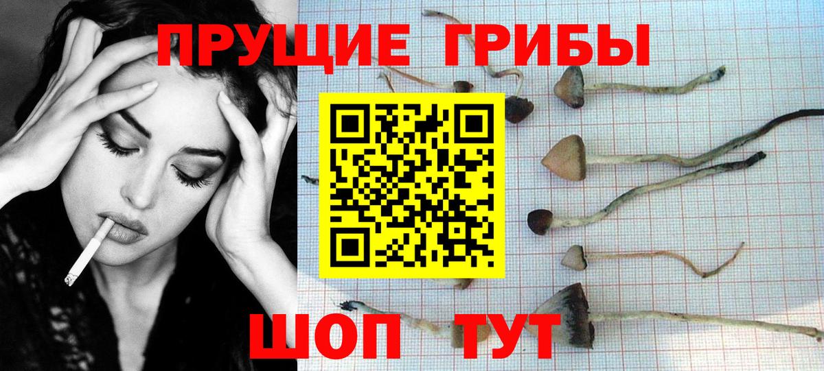 Псилоцибиновые грибы MAGIC MUSHROOMS Коломна