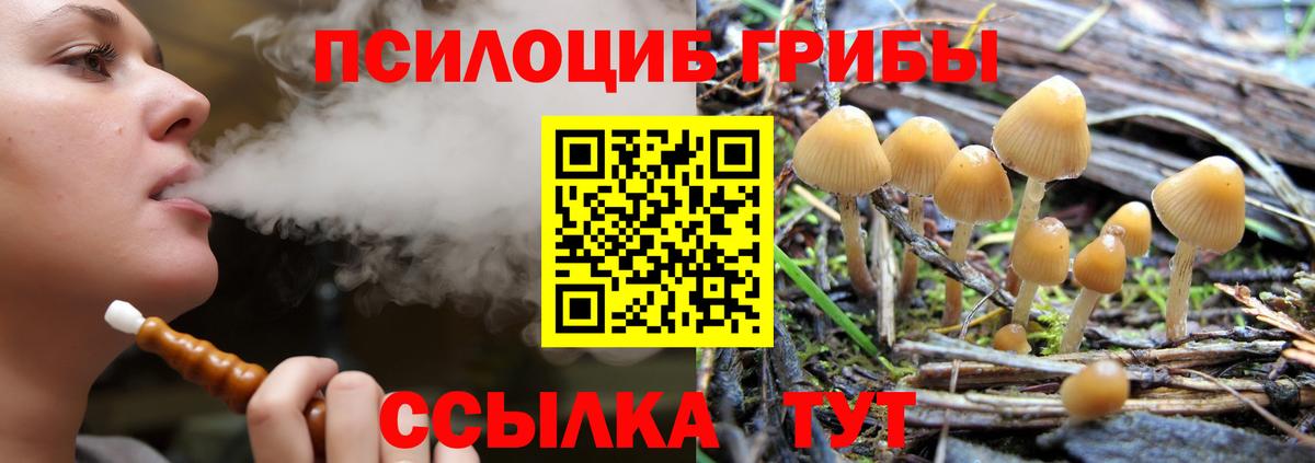 Коломна  Псилоцибиновые грибы Psilocybine cubensis  Галлюциногенные грибы GOLDEN TEACHER  купить закладку  Вход с VPN 